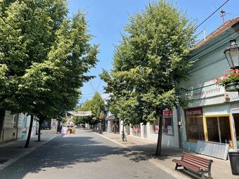 2344 NA PREDAJ BUDOVA S VÝKLADOM V CENTRE MESTA KOMÁRNO - 2