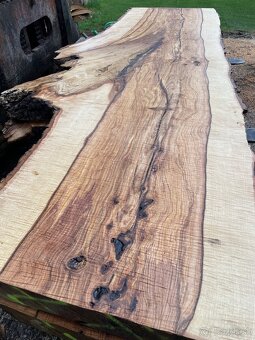 JASEŇOVÉ REZIVO OLIVE ASH / Očkové drevo / Live edge - 2