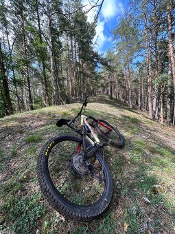 Marin Alpine Trail XR - 2