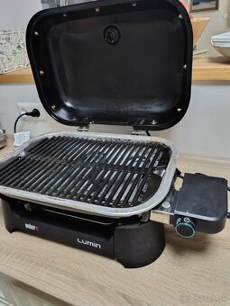 gril Weber Lumin - 2