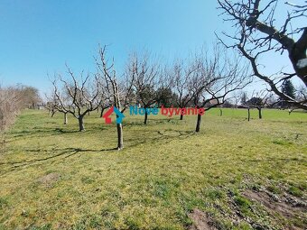 Predaj, pozemok - Plavé Vozokany (N011-14-MAHA) - 2