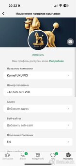 čokoládový chlapček toy pudel - 2