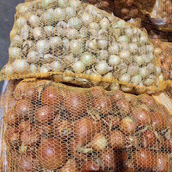 PREDÁM CIBUĽU a ZEMIAKY - 2