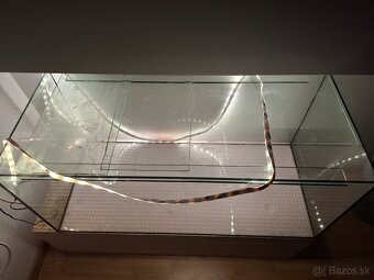 akvarium 144l - 2