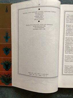 Tisíc a jedna noc - 2