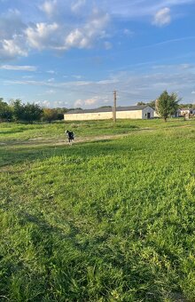 Farma na chov drobnej hydiny - Turá okr. Levice - 2