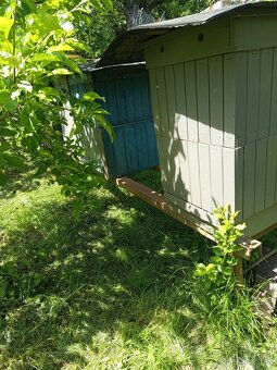 Včely - 2