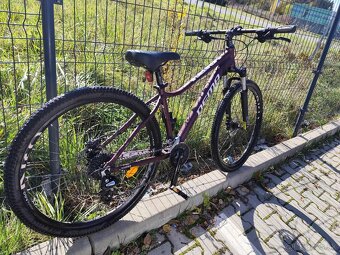 Bicykel Dema Tigra 5 bordo 2021 - 2