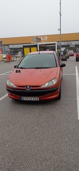 Peugeot 206 pri BA - 2