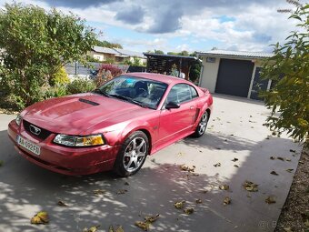 Ford Mustang GT 4.6 V8 - 2