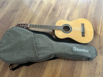 Predam 3/4 spanielku - 2