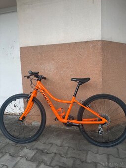 Naloo Chameleon 24 - detský bicykel - 2