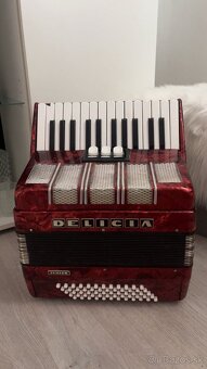 Harmonika- Delicia - 2