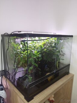 Paludárium - 2