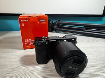 Sony A6100 + 16–50 mm + 50 mm f/1.8 + 55–210 mm - 2