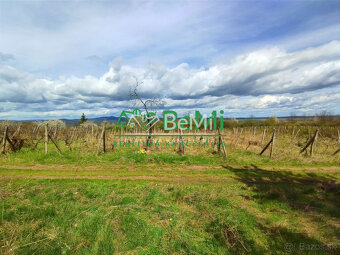 Vinica-Slovenské Kľačany-predaj - 2