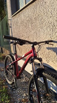 CTM Zephyr Xpert 2020 - 2