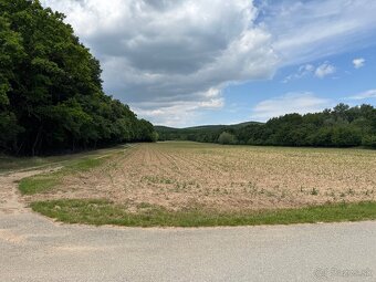 Hatfa - bývale kúpele v obci Viničky - 2