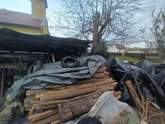 Stĺpy štompy drevene. - 2