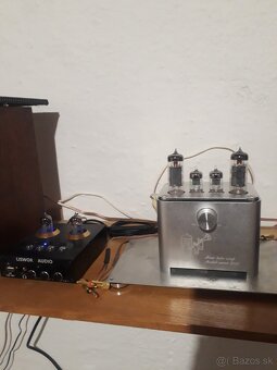 APPJ MINI TUBE 2013 - 2