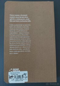 Zázrak povolania - 2