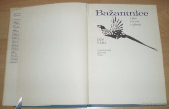 Bažantnice - 2