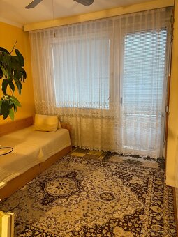 Predám 1 izb.veľkometrážny byt - 2