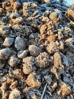 Darujem konský hnoj - 2