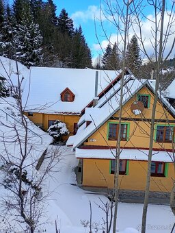 Grape Kubínska hoľa - 2