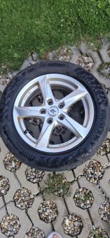 Elektróny s letnými pneumatikami 205/55 r16 - 2