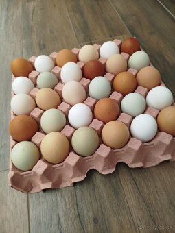 Domáce vajíčka - 2