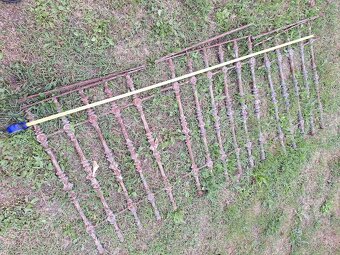 Liatinový plot - 2