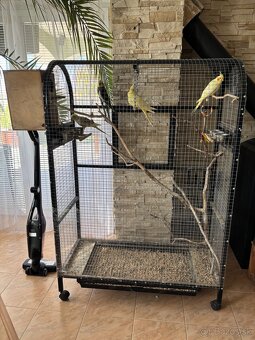 Korely s klietkou - 2