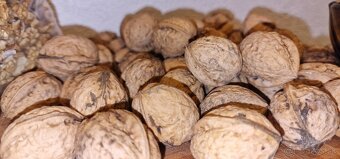 Orechy Vlašské- Lúpané/ Nelúpané - 2