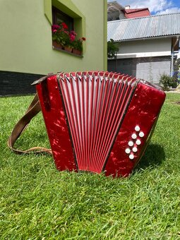 Heligonka Delicia - 2