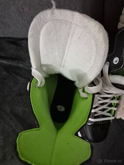 Korčule Bauer x LS - 2