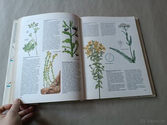 Pestrá priroda - 2