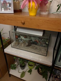 Akuarium 80l a 25l - 2