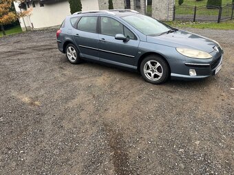 Peugeot 407sw - 2