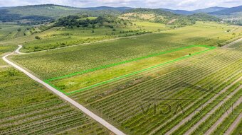 Pozemok s veľkým potenciálom v Pezinku s výmerou až 5190 m2 - 2