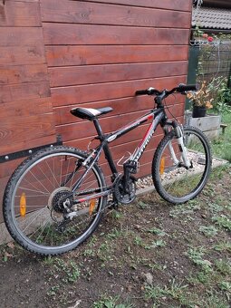 Kaktusbike - 2