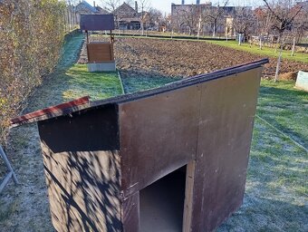 Darujem búdu pre psa. - 2