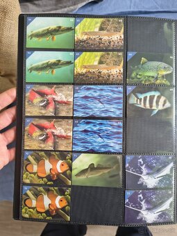 Vymením nalepky - 2