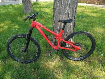 Predam carbon downhill NORCO - 2