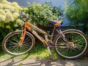 Bicykel Modet - 2