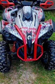 Can Am renegade 1000 - 2