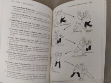 The art of Shaolin Kung Fu - 2