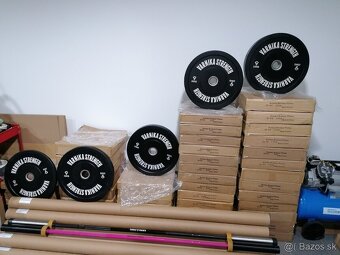 BUMPERY VARNIKA STRENGTH - 2