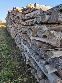 Palivové drevo - 2