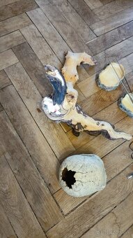 predam terarium a chovatelske potreby - 2